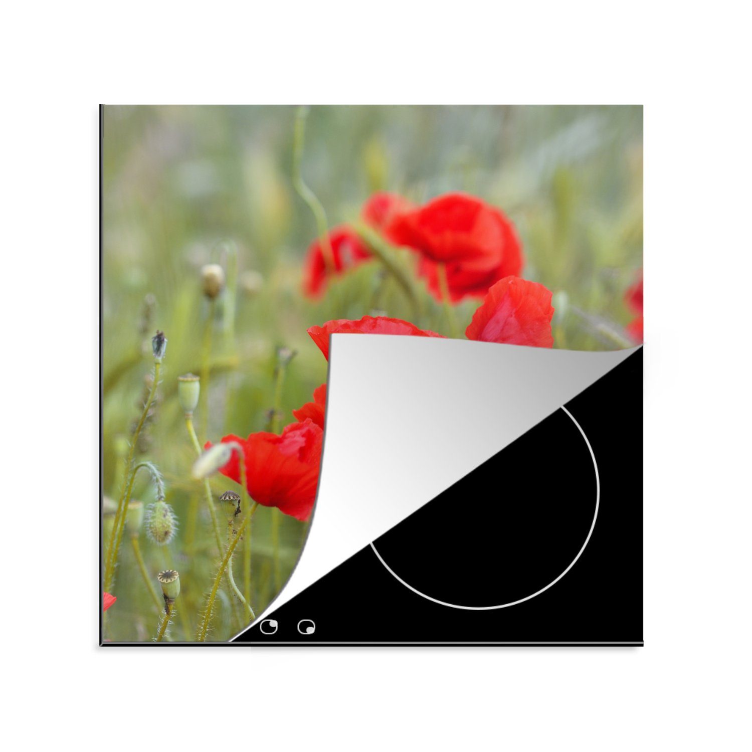 MuchoWow tlg), Mohnblumen im cm, Gras, Vinyl, 78x78 für Ceranfeldabdeckung, Rote Arbeitsplatte küche (1 Herdblende-/Abdeckplatte