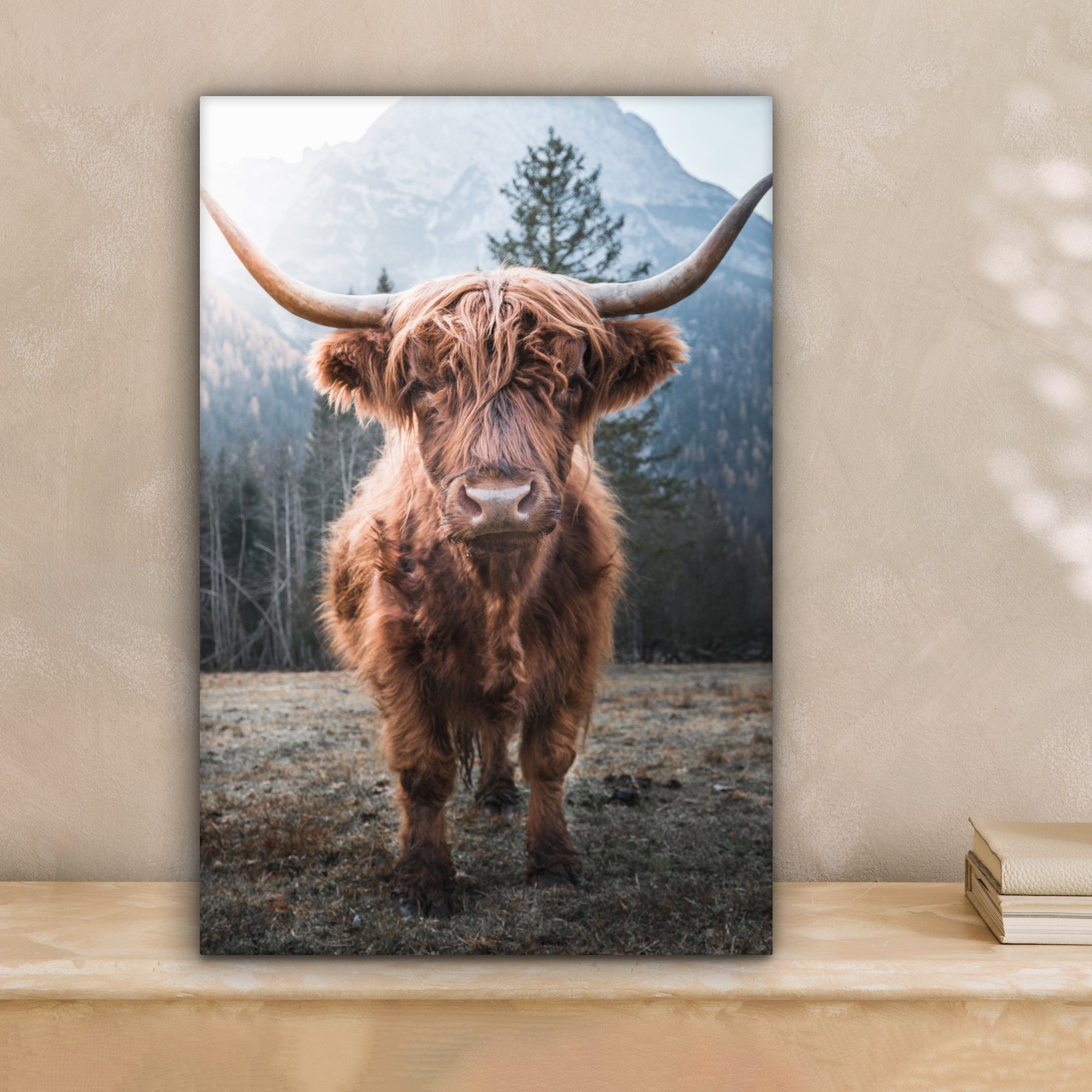OneMillionCanvasses® Leinwandbild Schottischer Hochländer - Kuh - Tiere - B günstig online kaufen