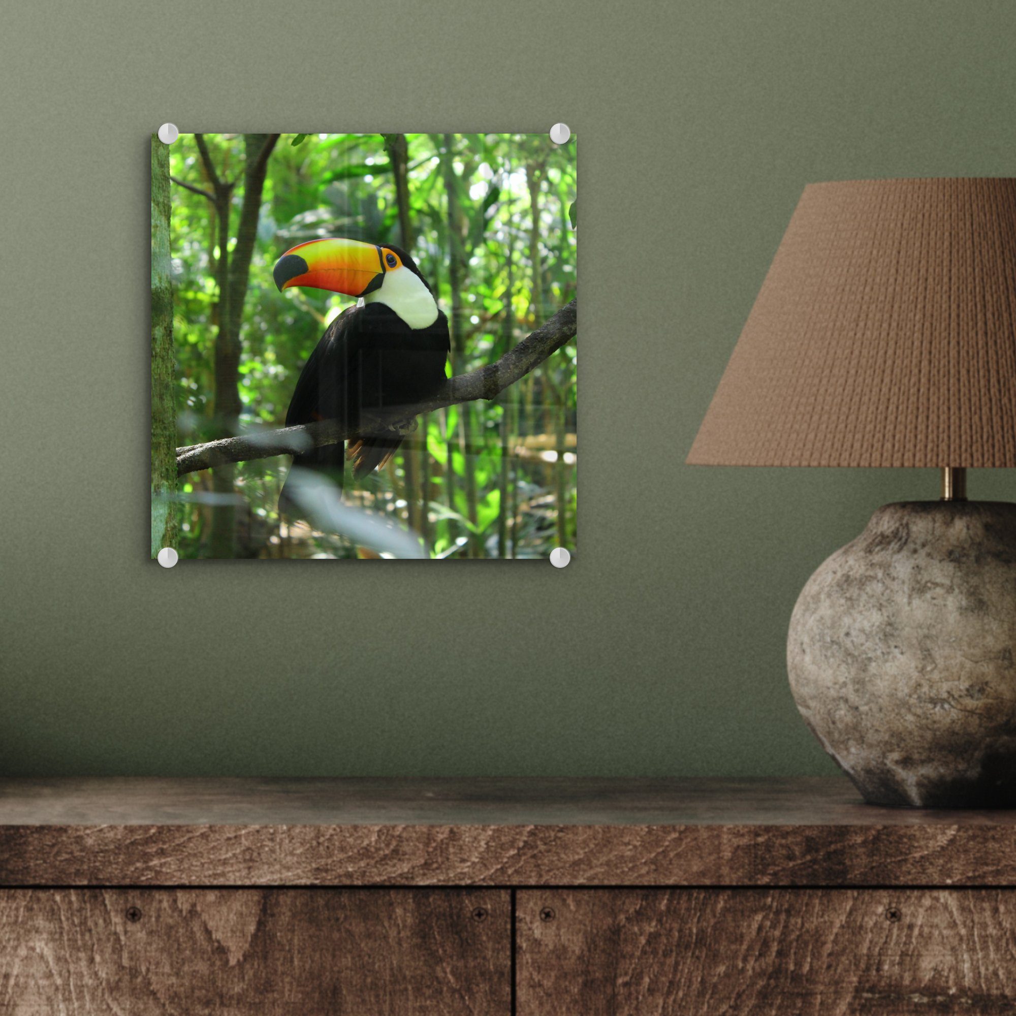 MuchoWow Acrylglasbild Tukan im Baum, (1 Glas Glas Wandbild auf auf Wanddekoration Glasbilder Foto Bilder - - St), 