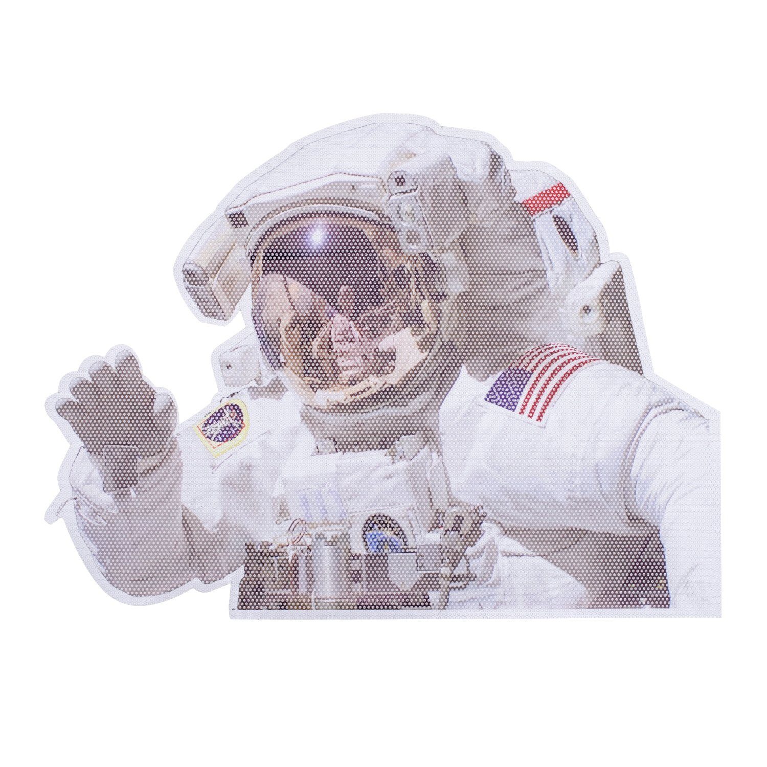 NASA Fenstersticker