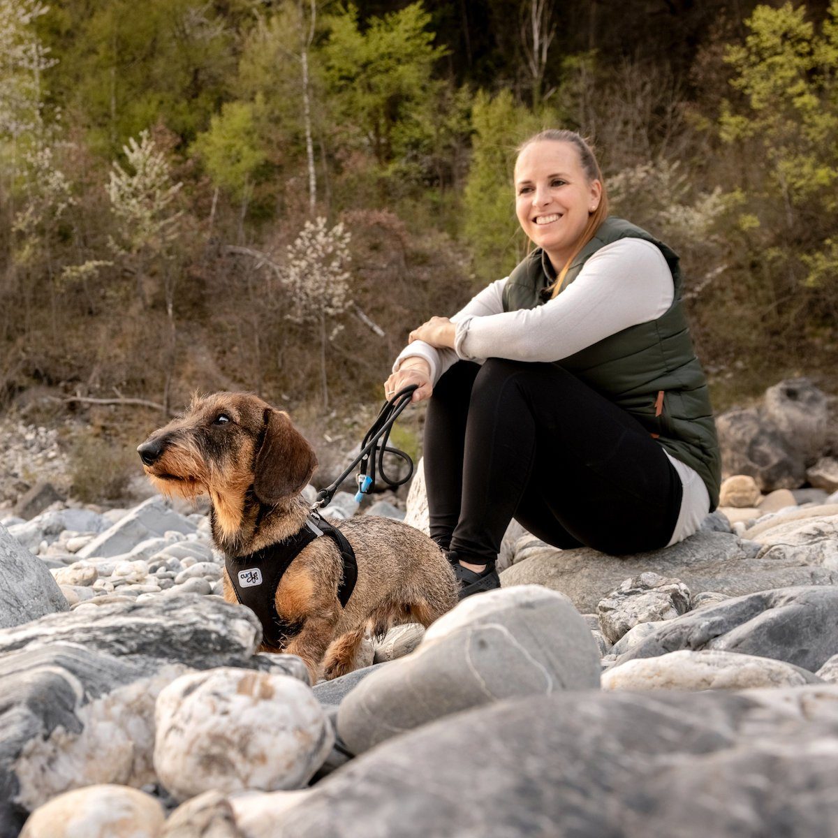 Curli Hunde-Geschirr Clasp Vest Geschirr Softshell schwarz