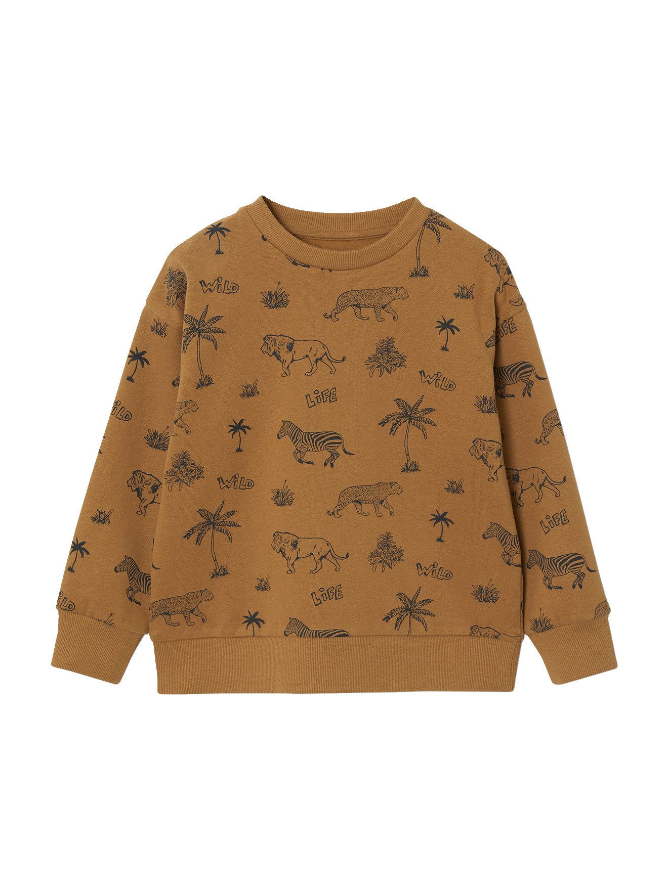 Fleecepullover Jungen Sweatshirt mit Recycling-Polyester