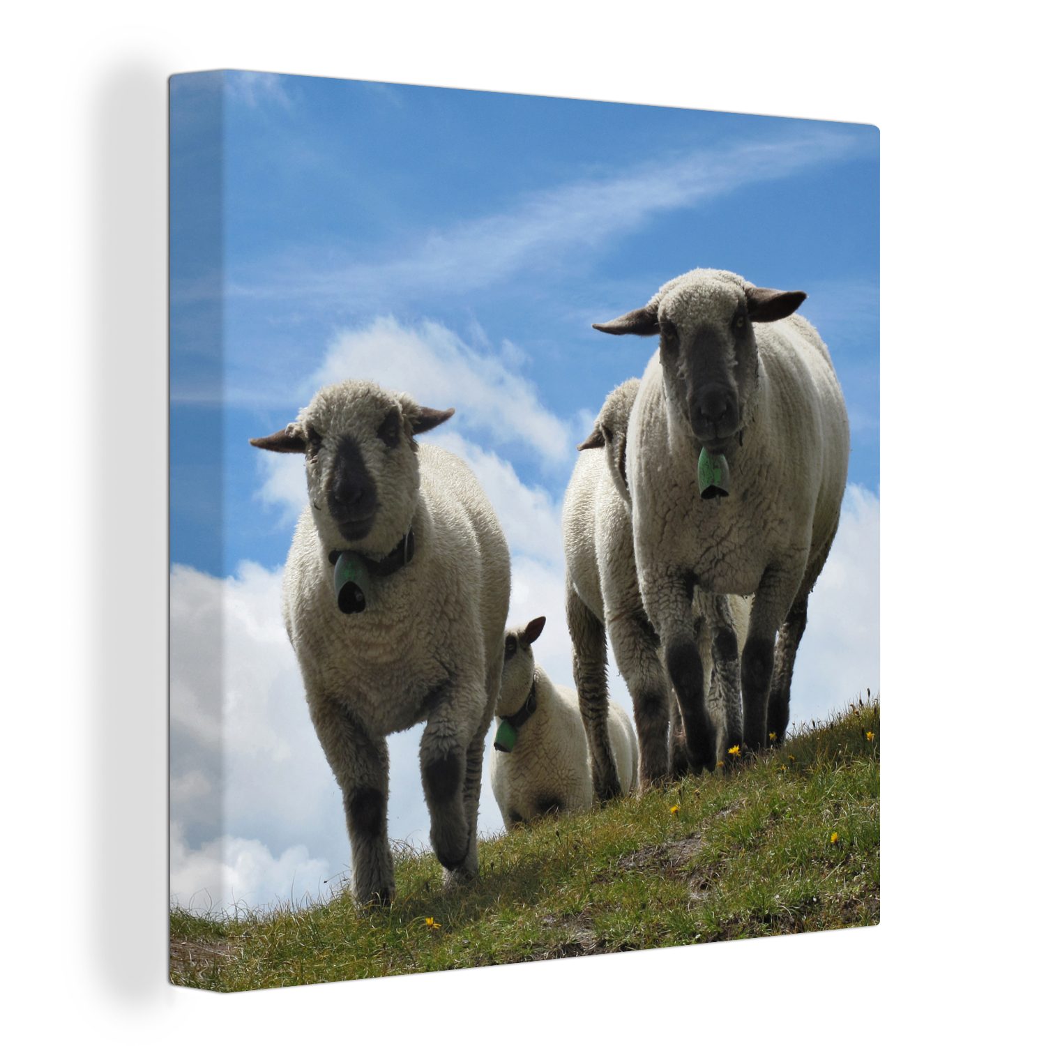 OneMillionCanvasses® Leinwandbild Schafe - Berge - Alpen, (1 St), Leinwand Bilder für Wohnzimmer Schlafzimmer bunt