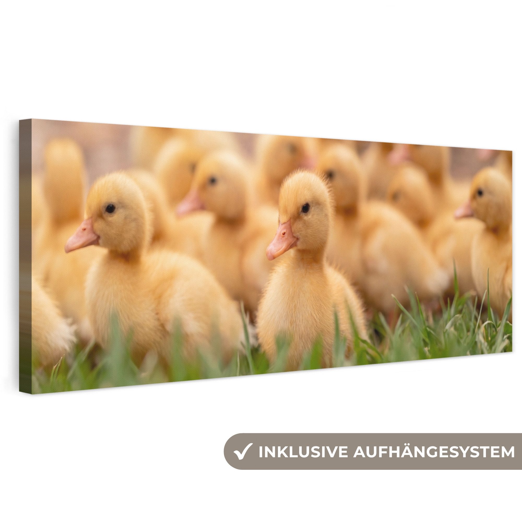 OneMillionCanvasses® Leinwandbild Panorama Pfeil - Ente - Natur - Gelb, Fotodruck (1 St), Leinwandbilder XXL Wohnzimmer, Deko Aesthetic 150x50 cm
