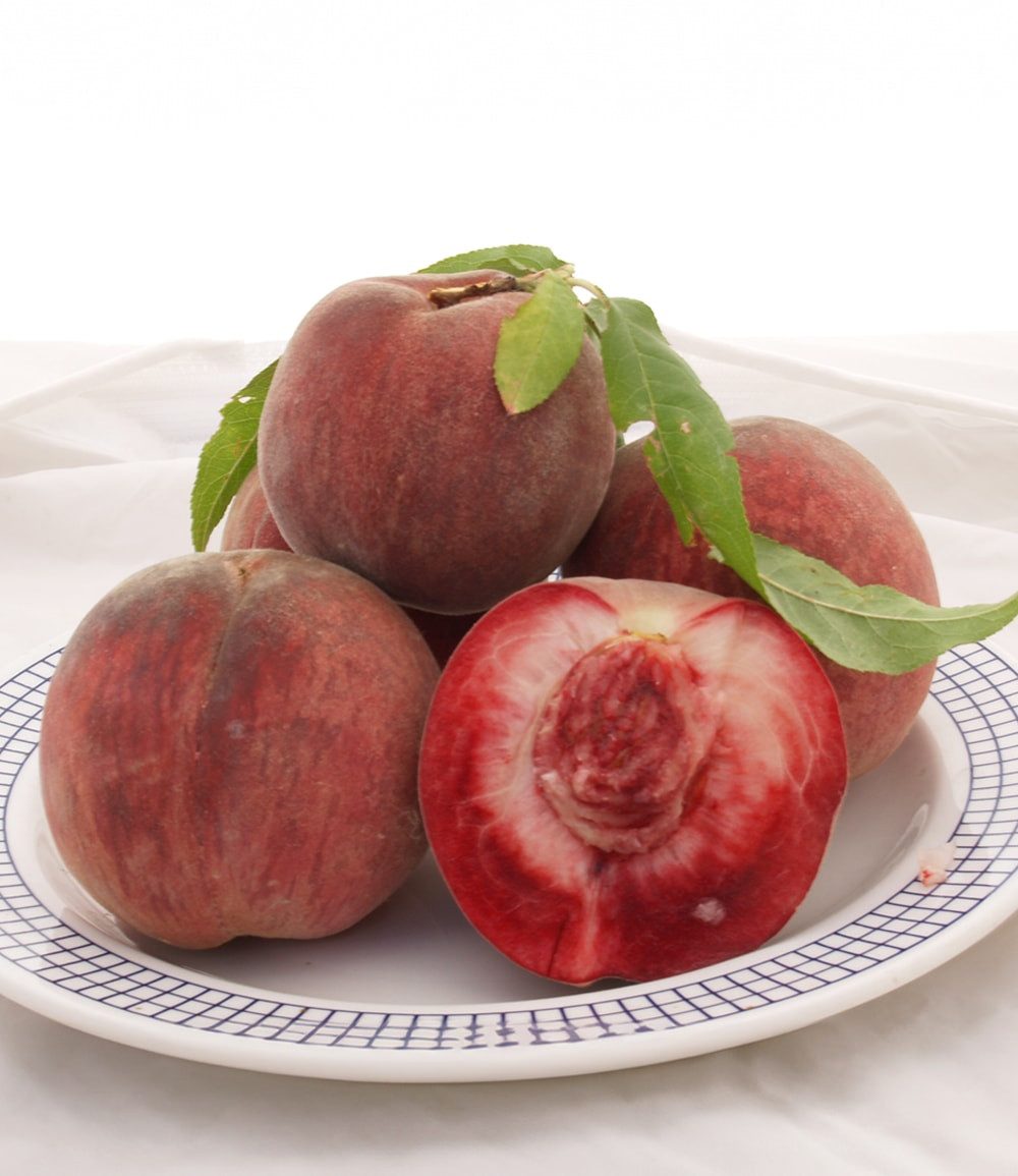 BALDUR Garten Obstpflanze Säulen-Pfirsich 'Ellora®', 1 St., Robust, winterhart, mehrjährig, pflegeleicht