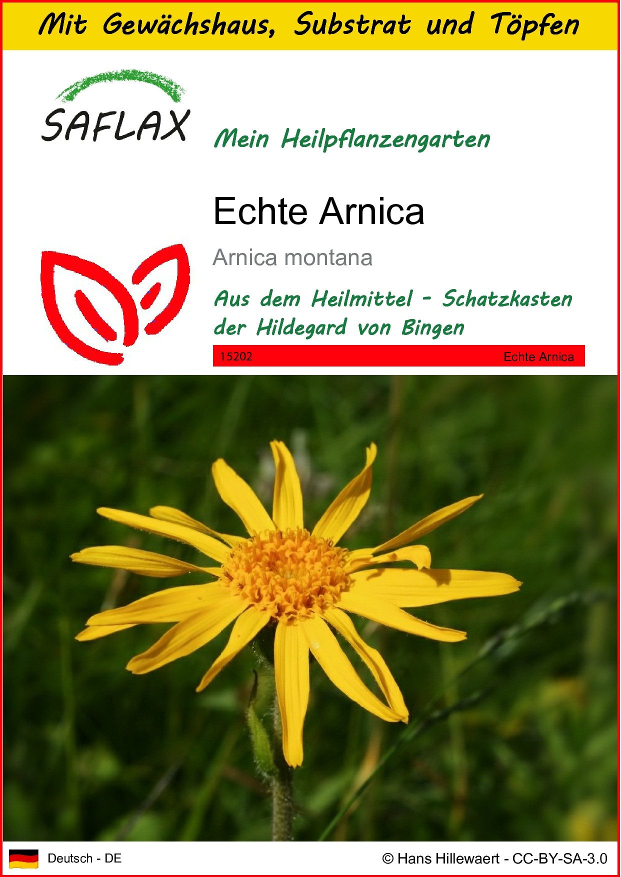 Blumensamen SAFLAX - Anzuchtset - Echte Arnica