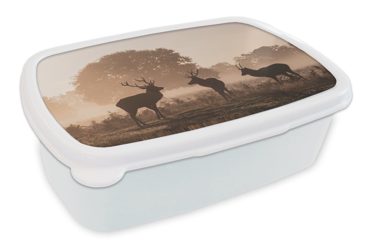 MuchoWow Lunchbox Hirsche - Nebel Brotbox Erwachsene, für Brotdose, Mädchen - Kinder (2-tlg), für und Jungs Wald, weiß und Kunststoff