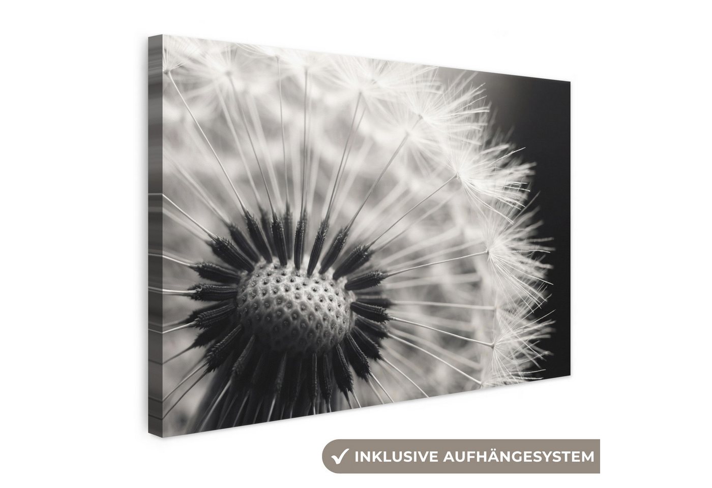 OneMillionCanvasses® Leinwandbild Pusteblume - Schwarz - Weiß, Fotodruck (1 St), Leinwand Bilder Klein, Wand Dekoration Aesthetic 30x20 cm