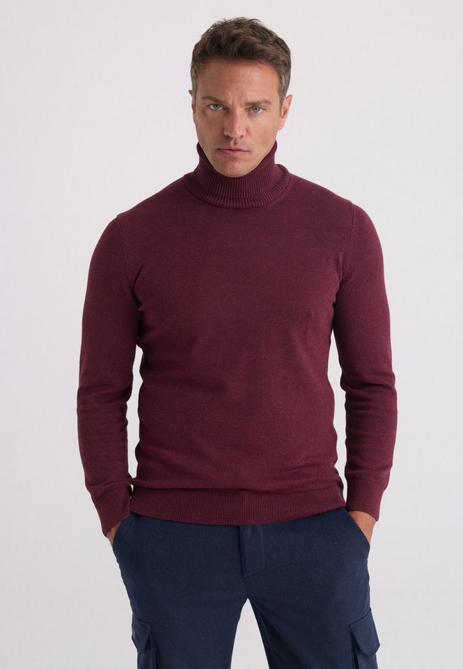 Felix Hardy Rollkragenpullover Rollkragenpullover