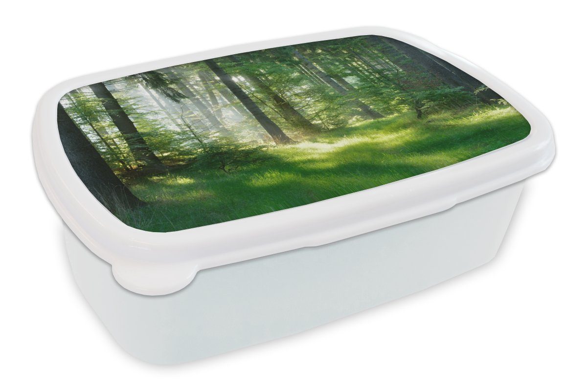 MuchoWow Lunchbox Natur - Bäume - Wald - Grün - Sonne - Gras - Pflanzen, Kunststoff, (2-tlg), Brotbox für Kinder und Erwachsene, Brotdose, für Jungs und Mädchen weiß