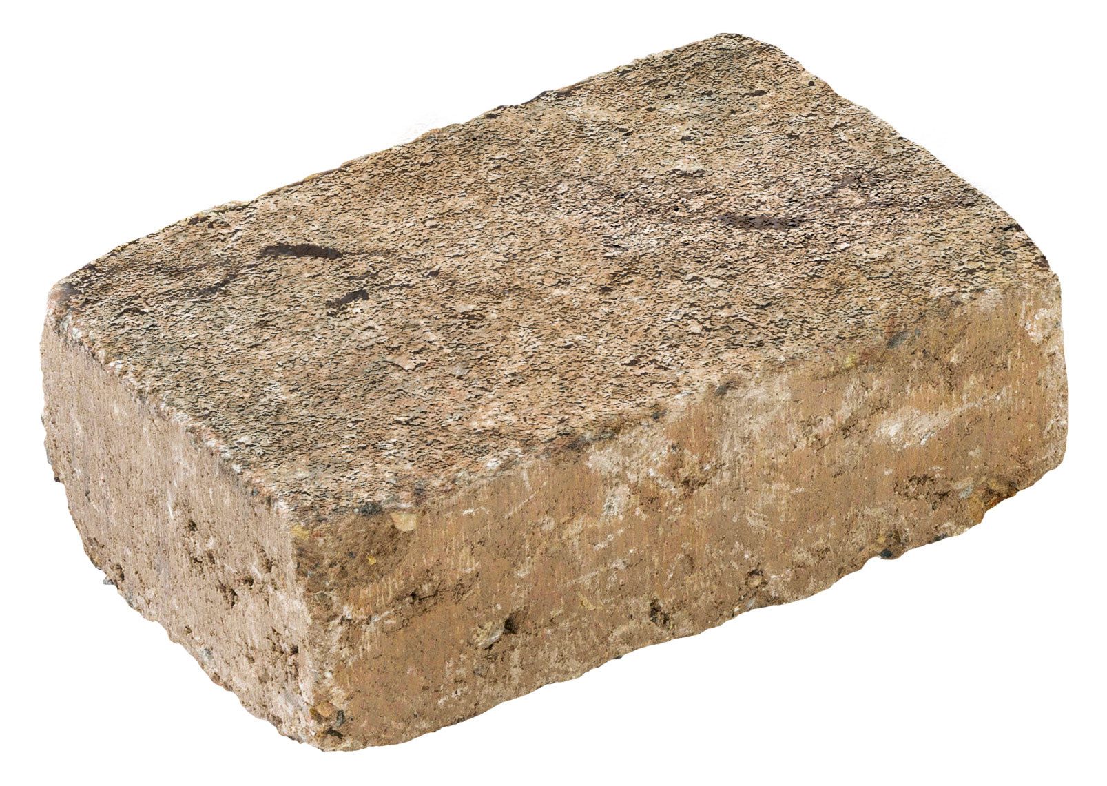 Porenbeton SERAVO ANTIK MUSCHELKALK 24/16/6 CM