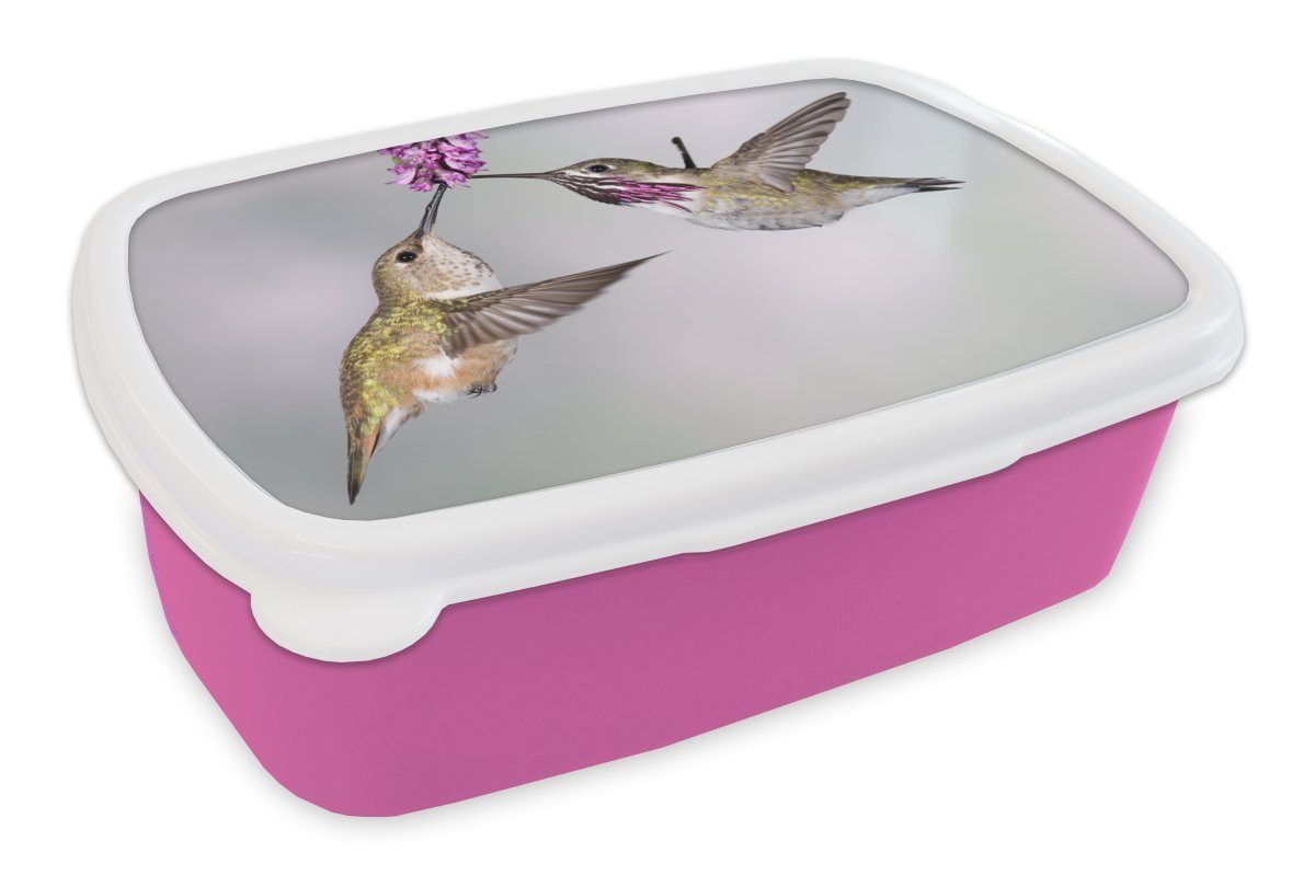 MuchoWow Lunchbox Kolibri - Blume - Rosa, Kunststoff, (2-tlg), Brotbox für Erwachsene, Brotdose Kinder, Snackbox, Mädchen, Kunststoff