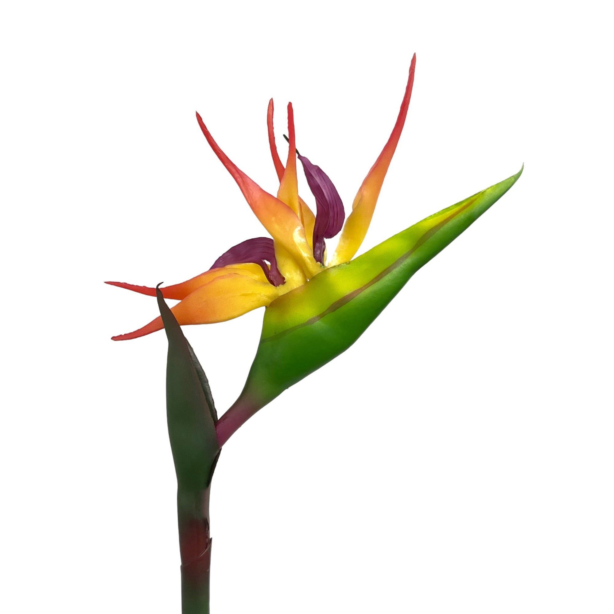 Kunstblume Künstliche Strelitzie ca. 83cm Paradiesvogelblume Papageienblume, Floratexx GmbH