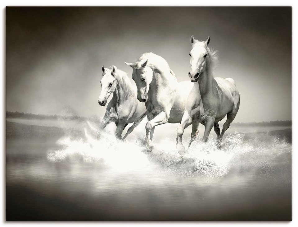 Artland Wandbild Herde von weißen Pferden, Haustiere (1 St), als Alubild,  Leinwandbild, Wandaufkleber oder Poster in versch. Größen