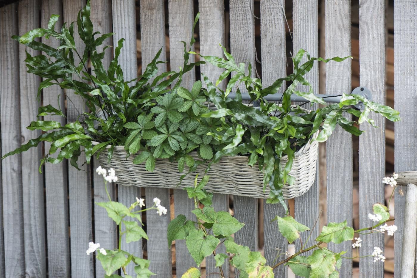 MarieAnn No.25 Blumenkasten Balkonkorb zum Hängen Pflanzkorb Weide mit Folie 60 cm
