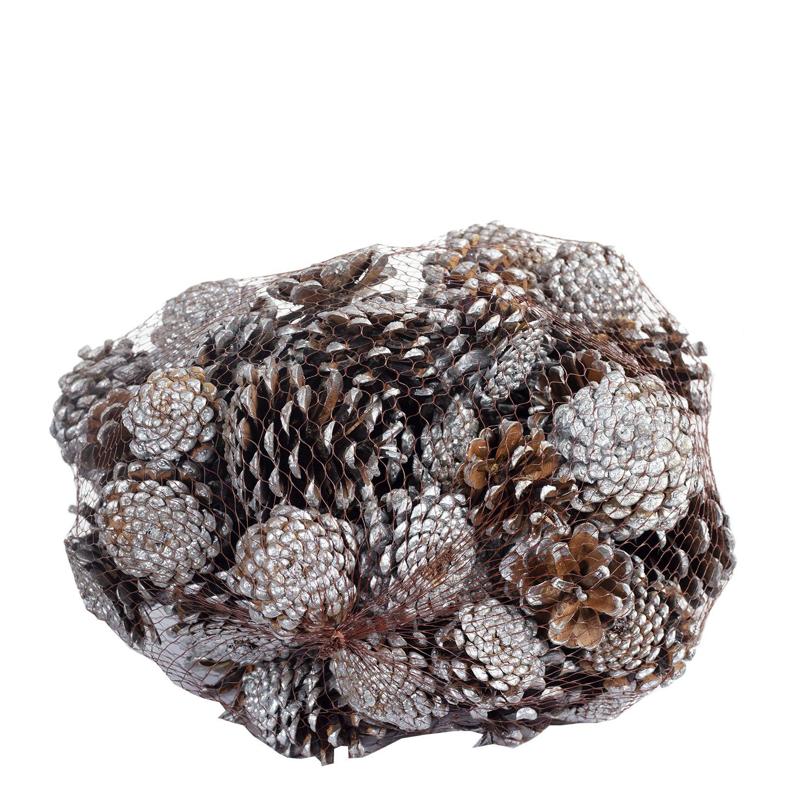 Trockenblume Schwarzkiefern - 1 kg im Netz - Länge ca. 5-8 cm - silber-tipped, Vosteen