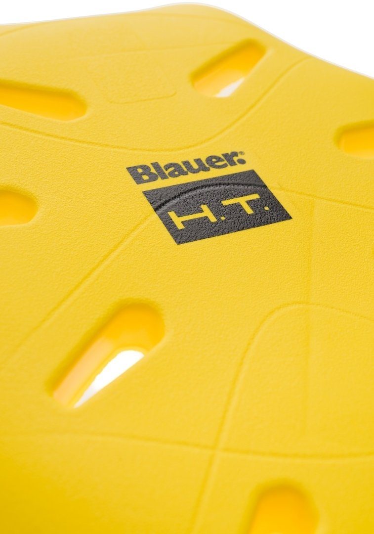 Blauer Rückgrat-/Rückenprotektor Rückenprotektor