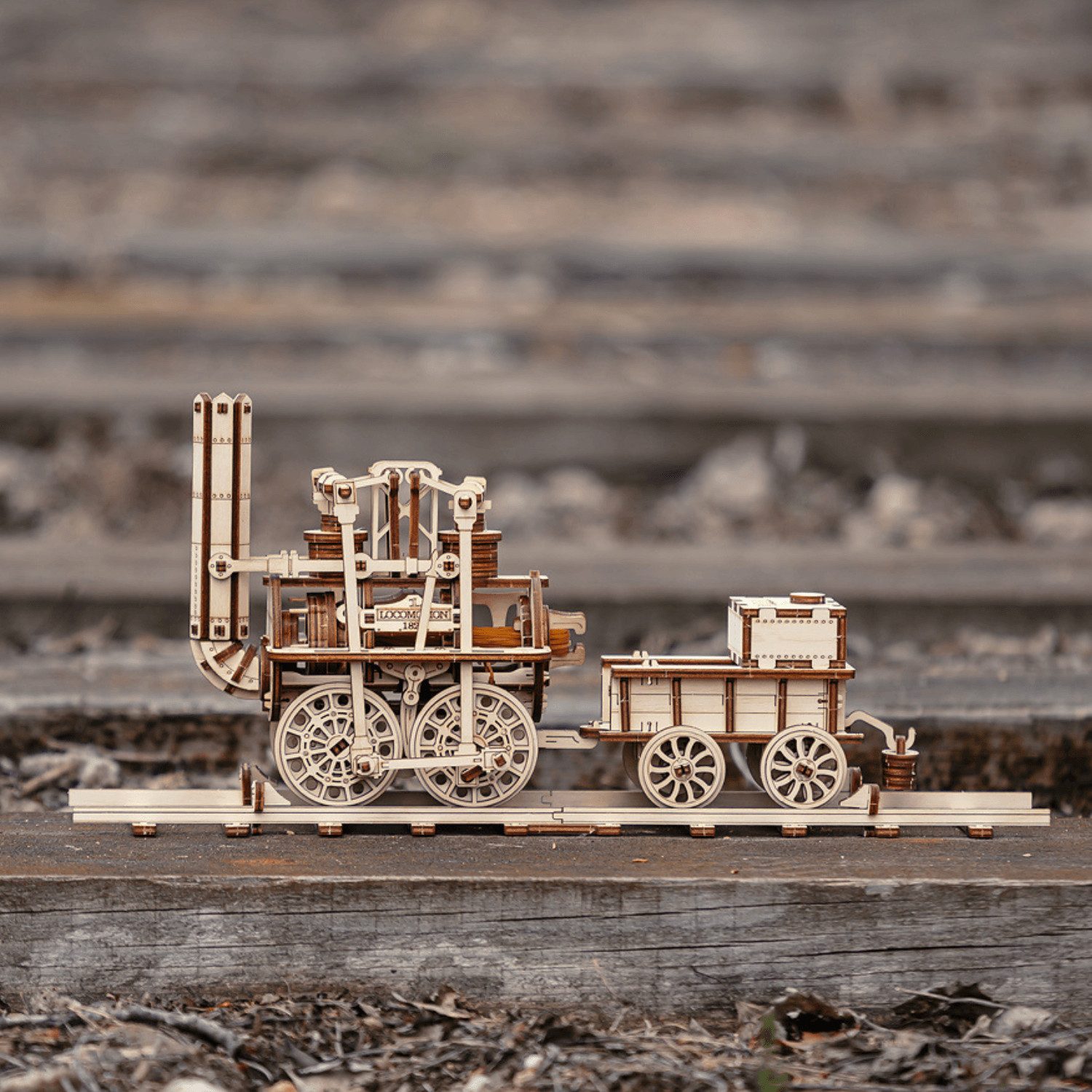 Puzzle Eco-Wood-Art Locomotion #1 Mechanisches Holzpuzzle