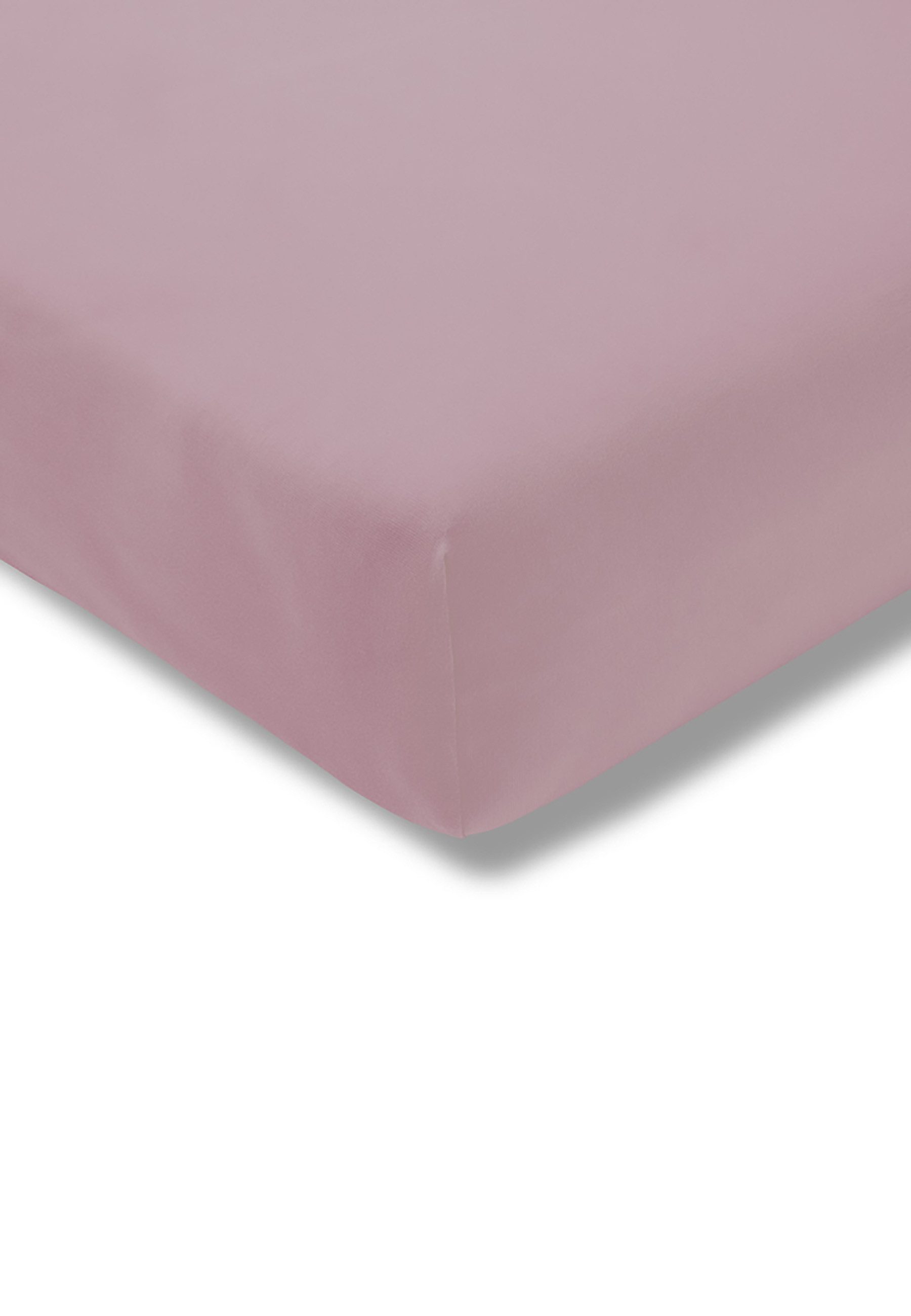 Estella Spannbettlaken Spannbetttuch Feinjersey, Jersey, Gummizug: günstig online kaufen