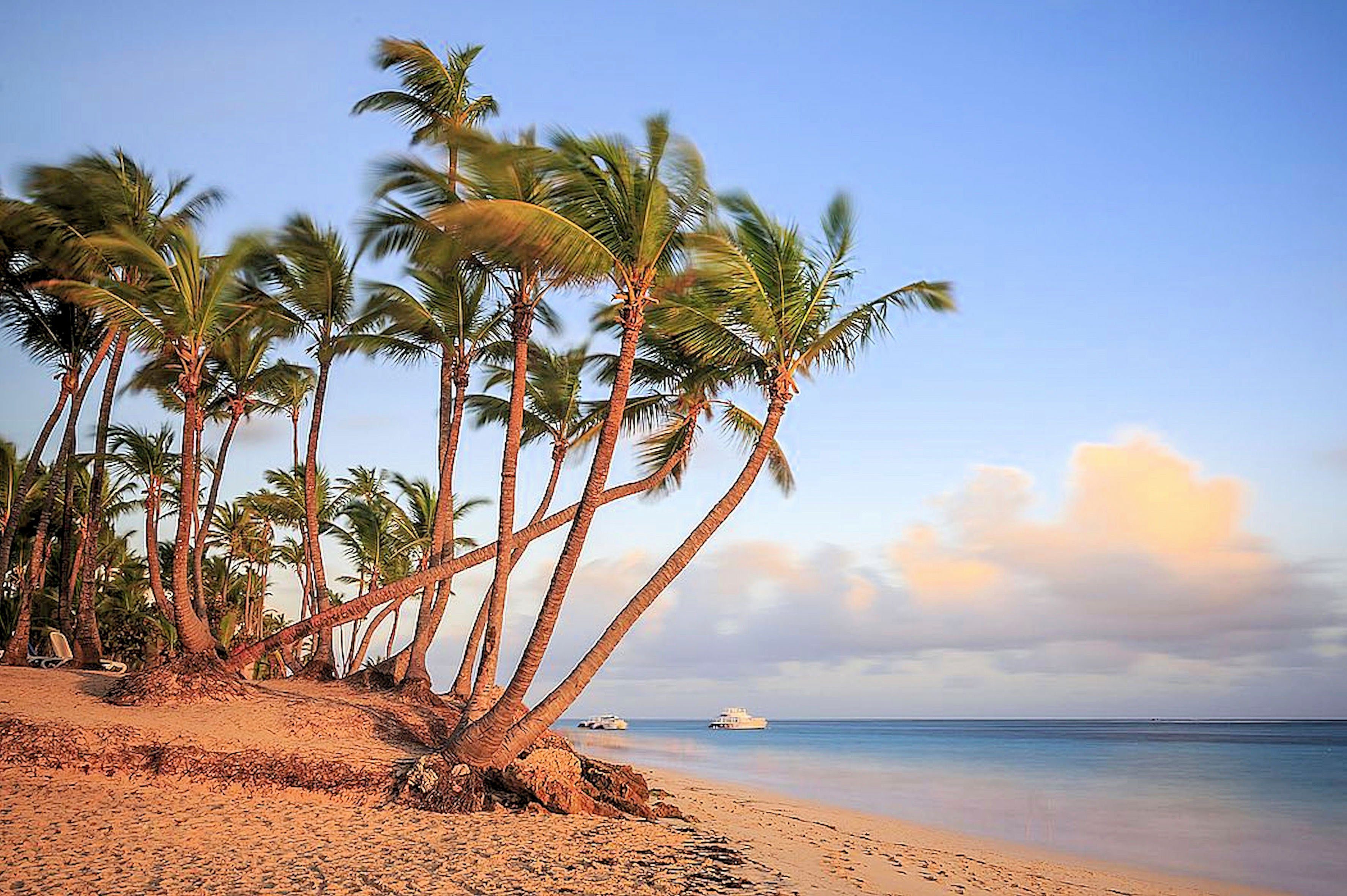 my home Kunstdruck »ROMANOWICZ / Dawn in Punta Cana«, (1 Stück)-Otto