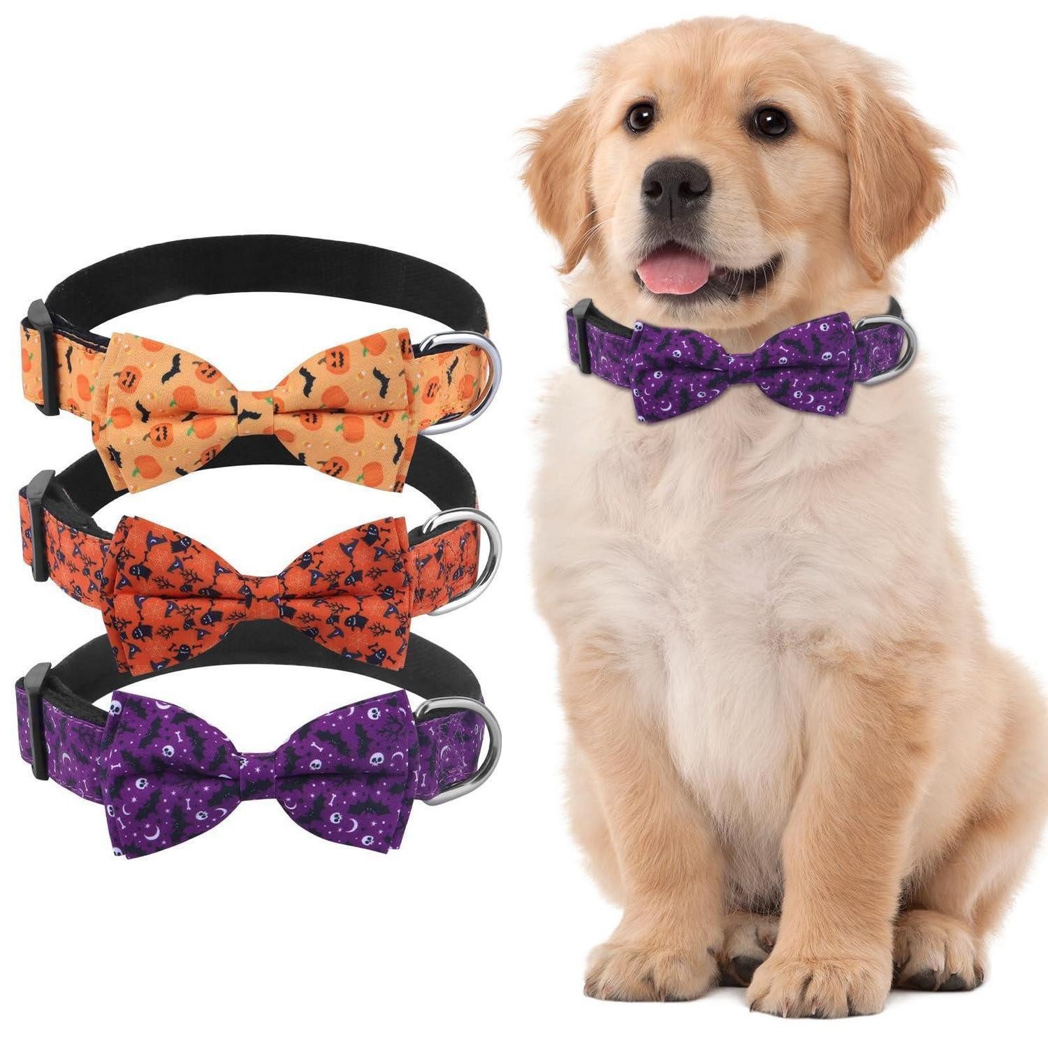LuxusKollektion Hunde-Halsband Hundehalsband Halloween orange/gelb/lila, Textil