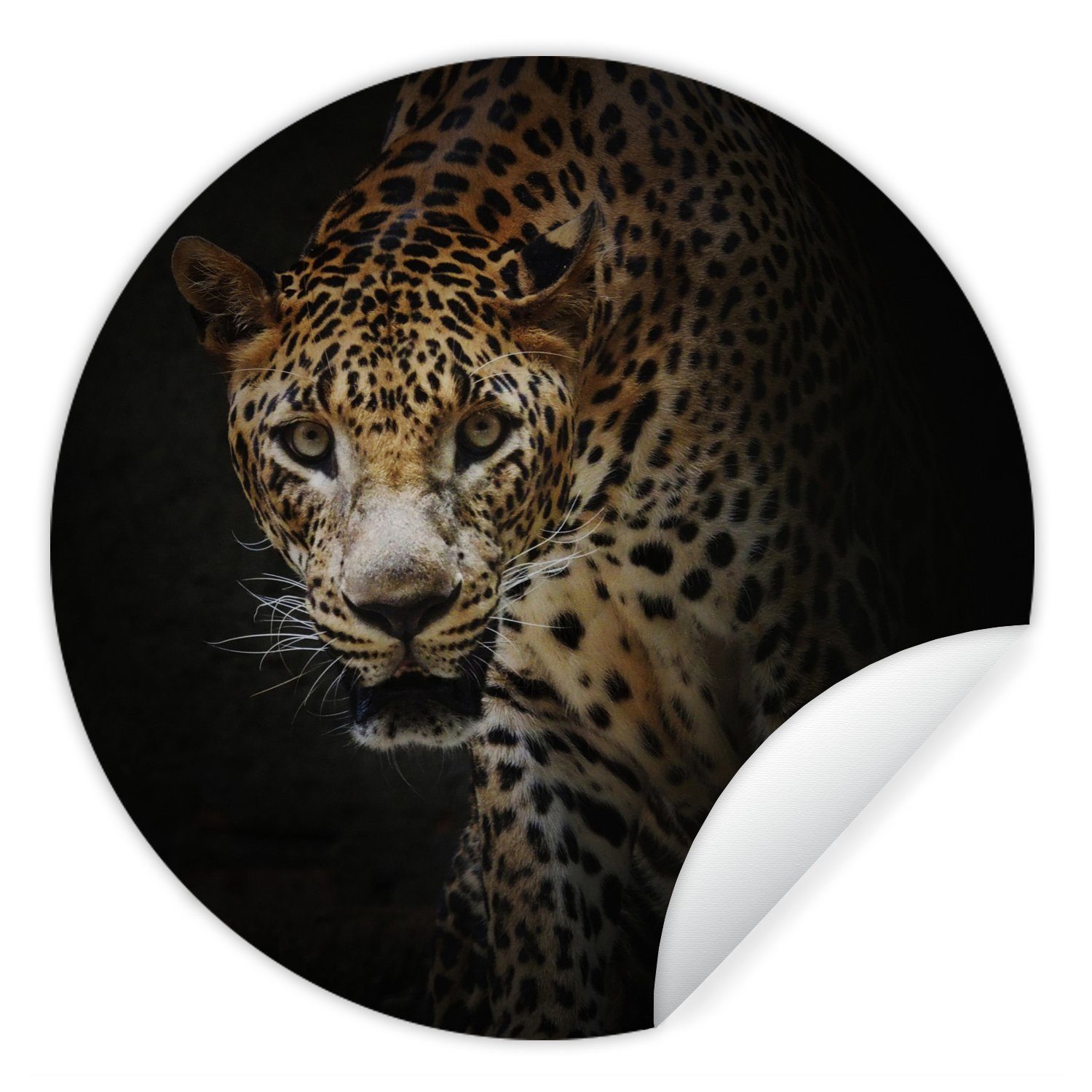 MuchoWow Wandsticker Leopard - Wilde Tiere - Licht (1 St), Tapetenkreis für Kinderzimmer, Tapetenaufkleber, Rund, Wohnzimmer