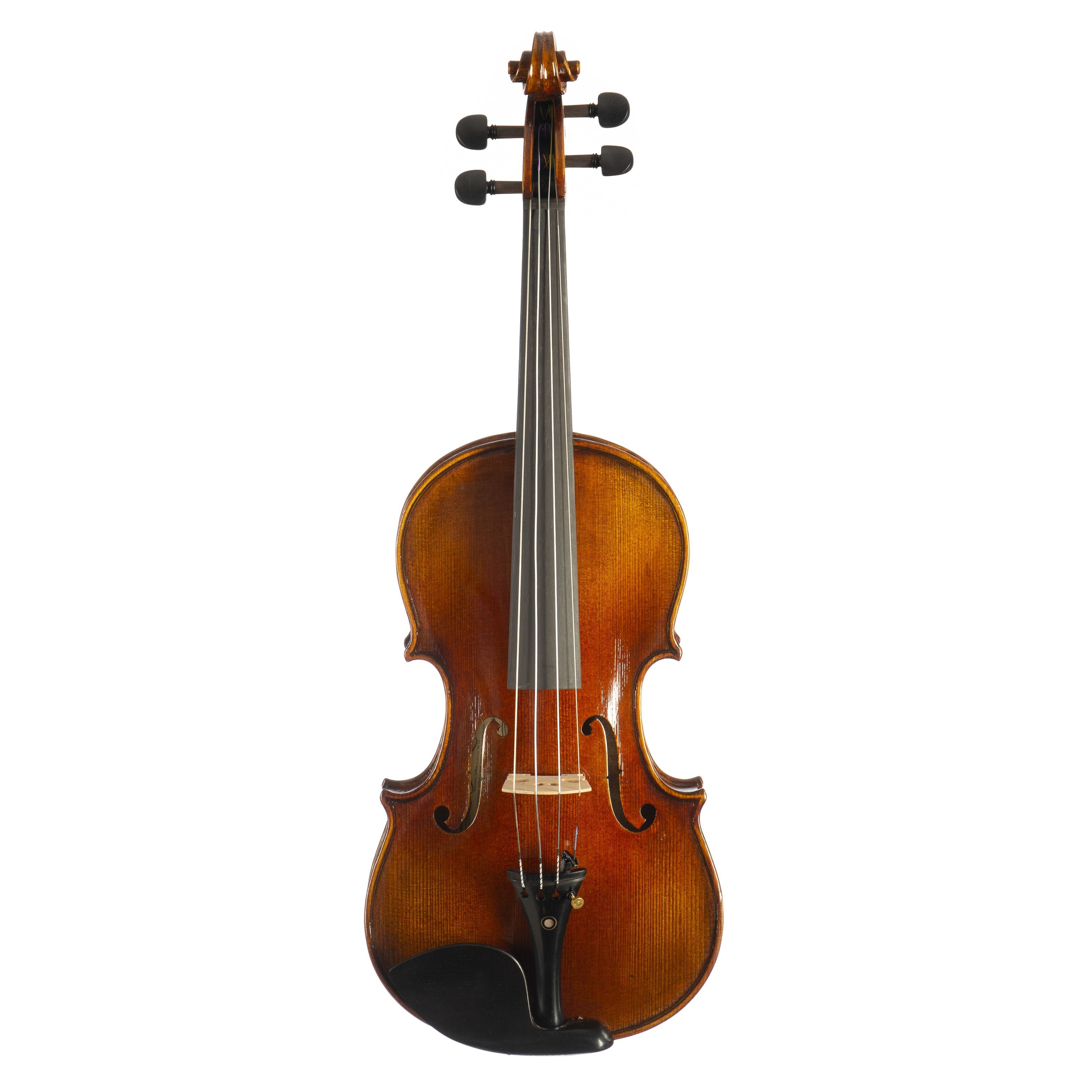 Violine
