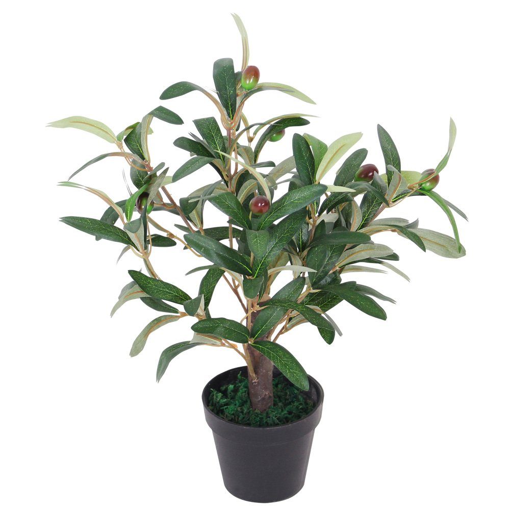 Kunstpflanze »Olive Olivenbaum Kunstbaum Künstliche Pflanze mit Echtholz  45cm Decovego«, Decovego online kaufen | OTTO