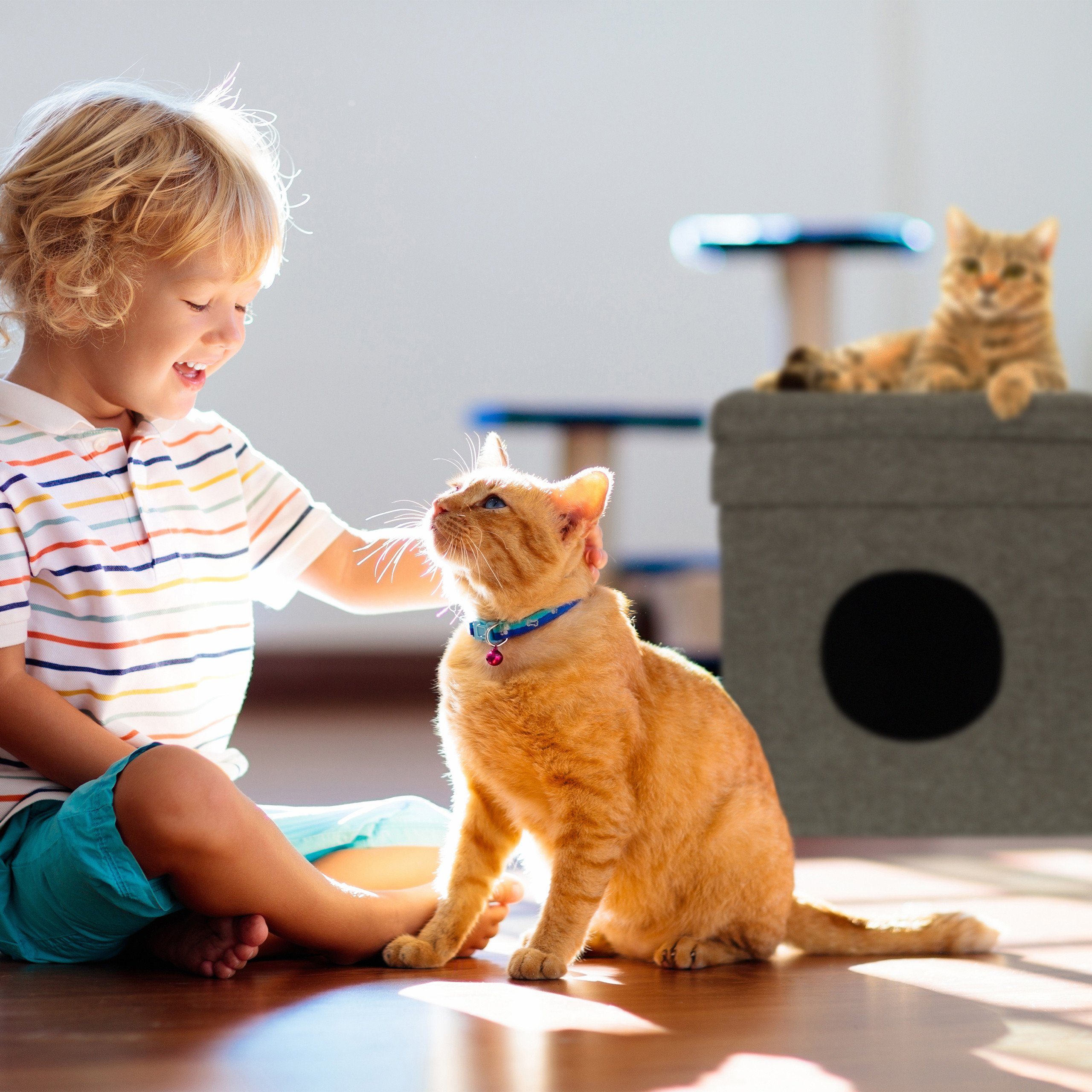 relaxdays Indoorhütte Katzenhöhle mit Dach faltbar