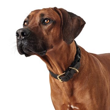 Hunter Tierbedarf Hunde-Halsband Halsband Sansibar Solid dunkelbraun