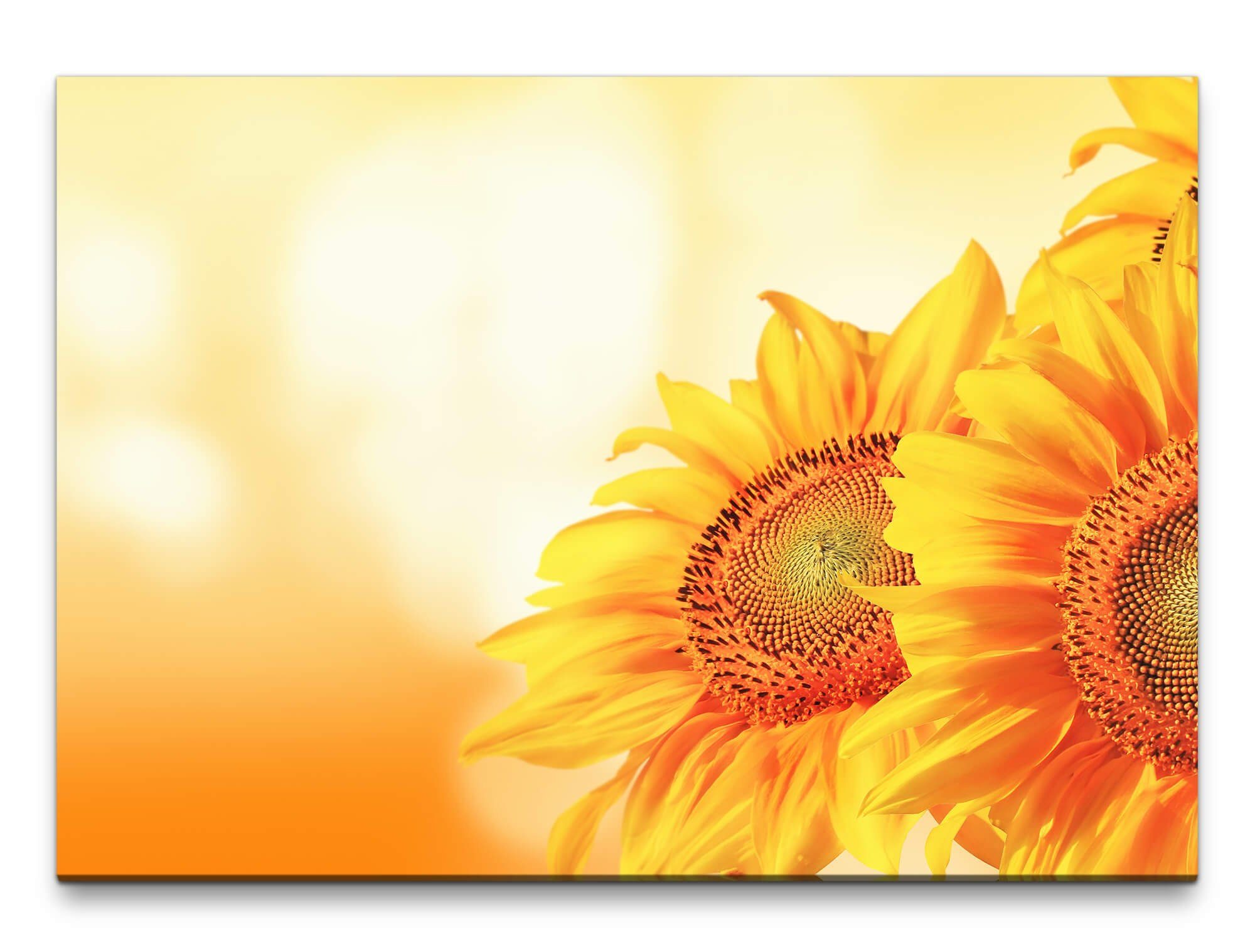 Leinwandbild Bilder XXL Gelbe Sonnenblumen Wandbild auf Leinwand
