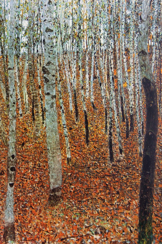 1art1 Poster Gustav Klimt Kunstdruck Bild - Birkenwald, 1903 (180 x 120 cm)