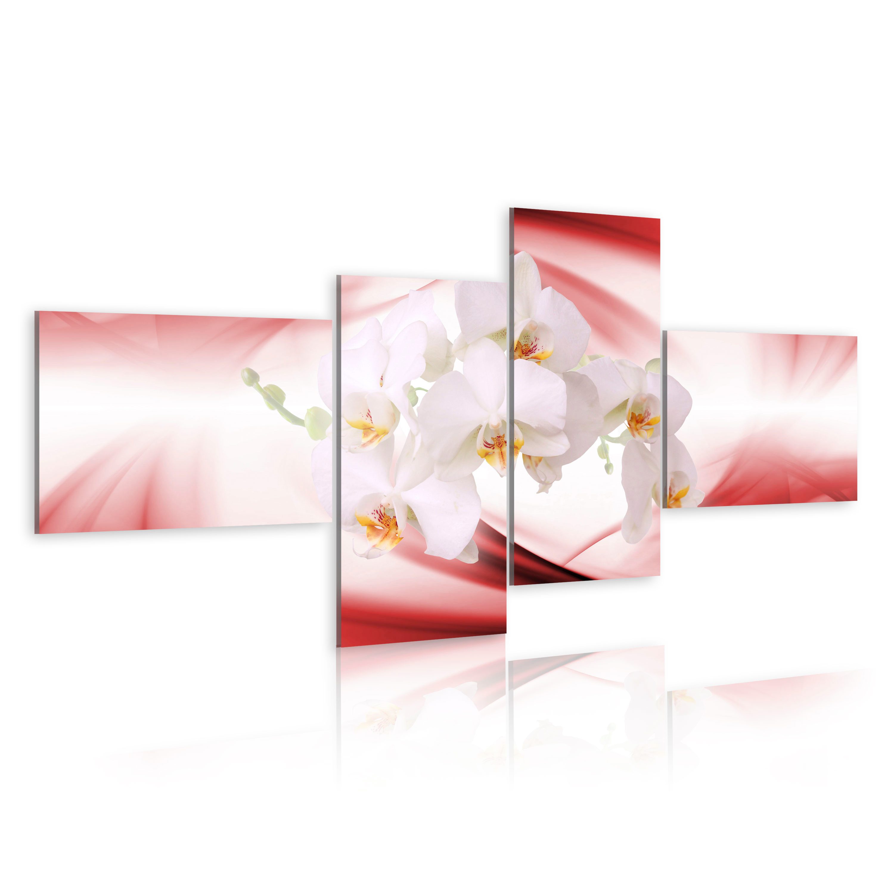 Wandbild Orchideen in Rosa