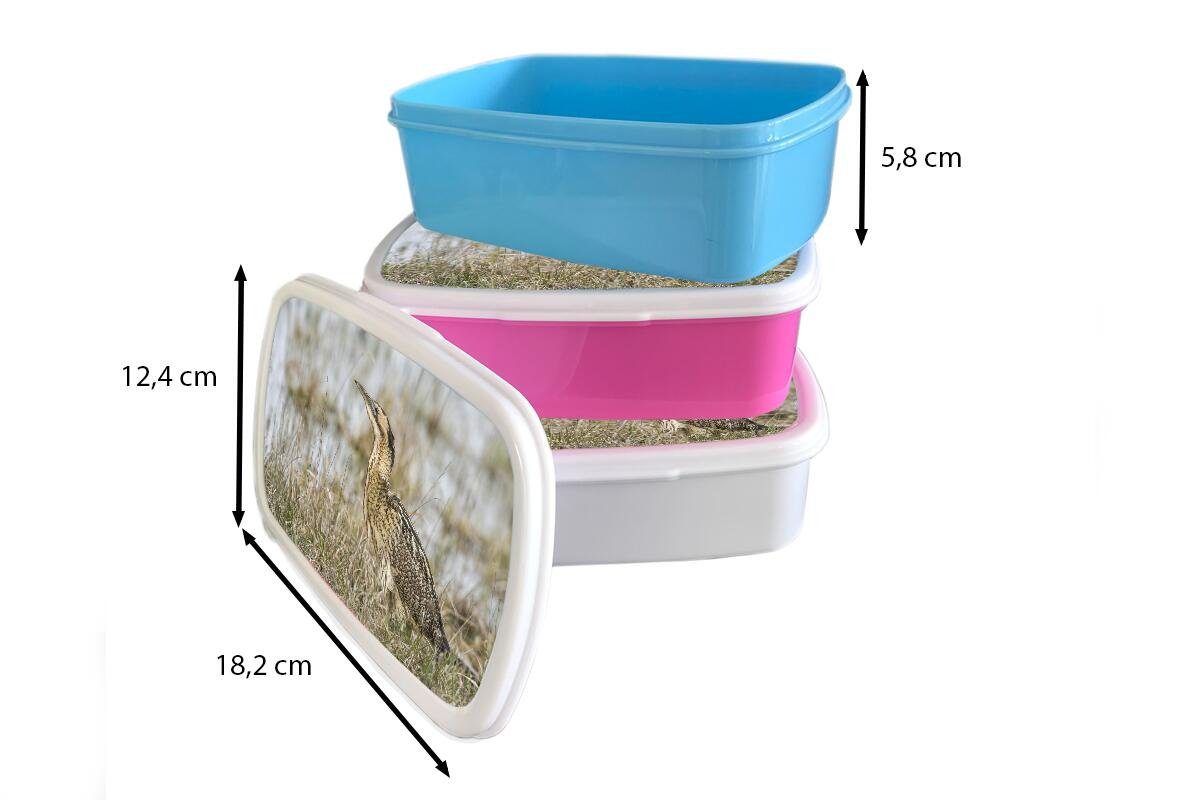 Wassernähe, Erwachsene, Lunchbox Kunststoff Rohrdommel Brotdose einer für in Kunststoff, MuchoWow Brotbox Kinder, Mädchen, rosa Foto Snackbox, (2-tlg),