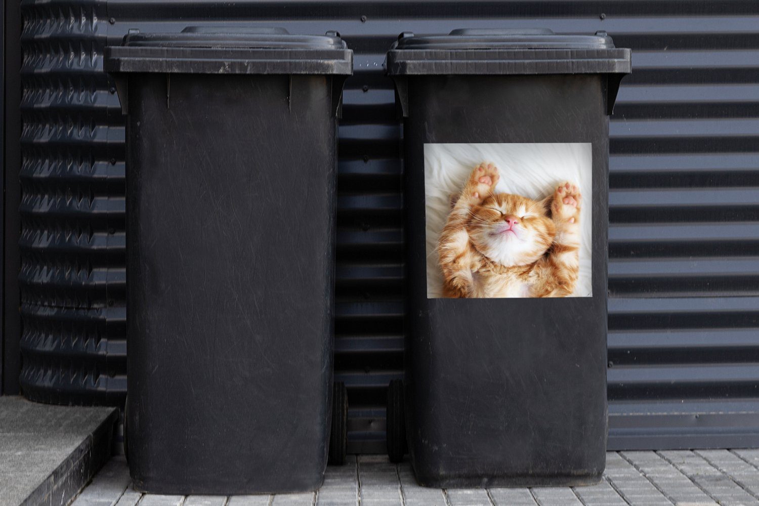Haustiere - Mülleimer-aufkleber, Abfalbehälter - - Kätzchen Container, MuchoWow St), Wandsticker Katze Rot Mülltonne, (1 Sticker,