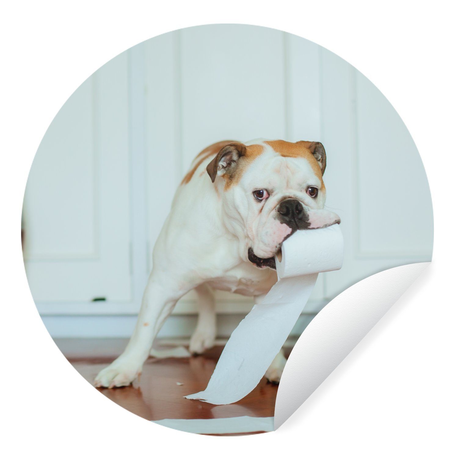 MuchoWow Wandsticker Hund spielt (1 Wohnzimmer Tapetenkreis Rund, für Kinderzimmer, Tapetenaufkleber, St), mit Toilettenpapier
