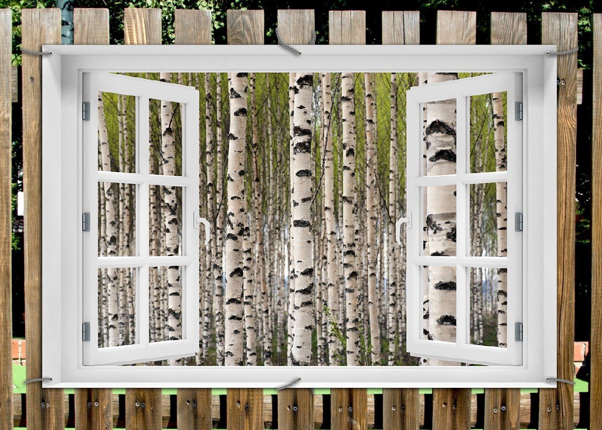 Thumbnail - Wallario Sichtschutzzaunmatten Birkenwald - Baumstämme in schwarz weiß, mit Fenster-Illusion