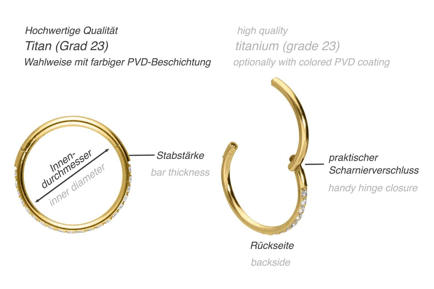 PIERCINGLINE Nasenpiercing Titan Segmentring Clicker EINGEFASSTE günstig online kaufen