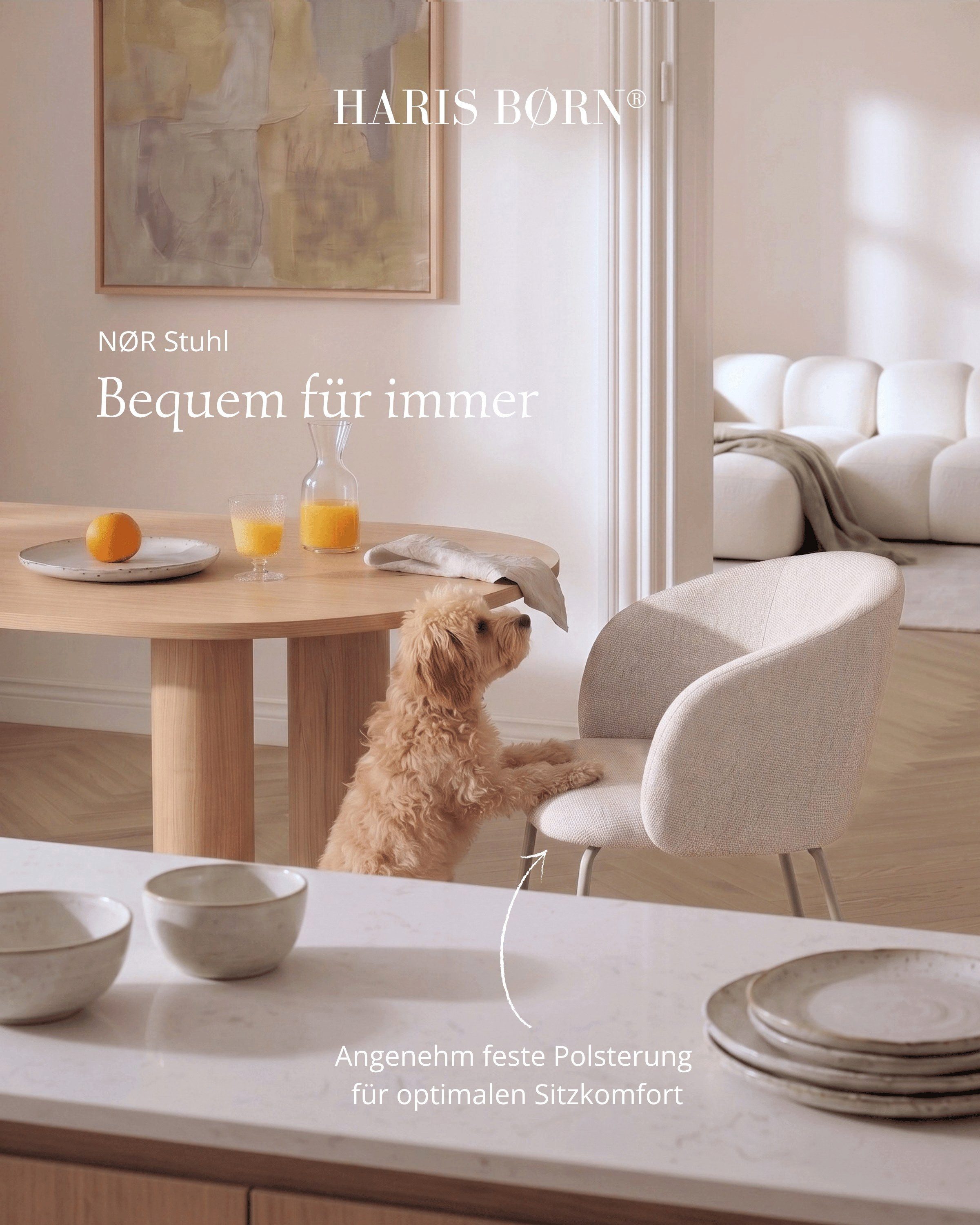 Haris Børn Esszimmerstuhl mit Armlehnen NØR - Hochwertige Polsterstühle für Esszimmer (Set, 6 St), Beige/Beine hellgrau - Premium Esszimmer Stühle & Wohnzimmer  – Bild 3 von 5