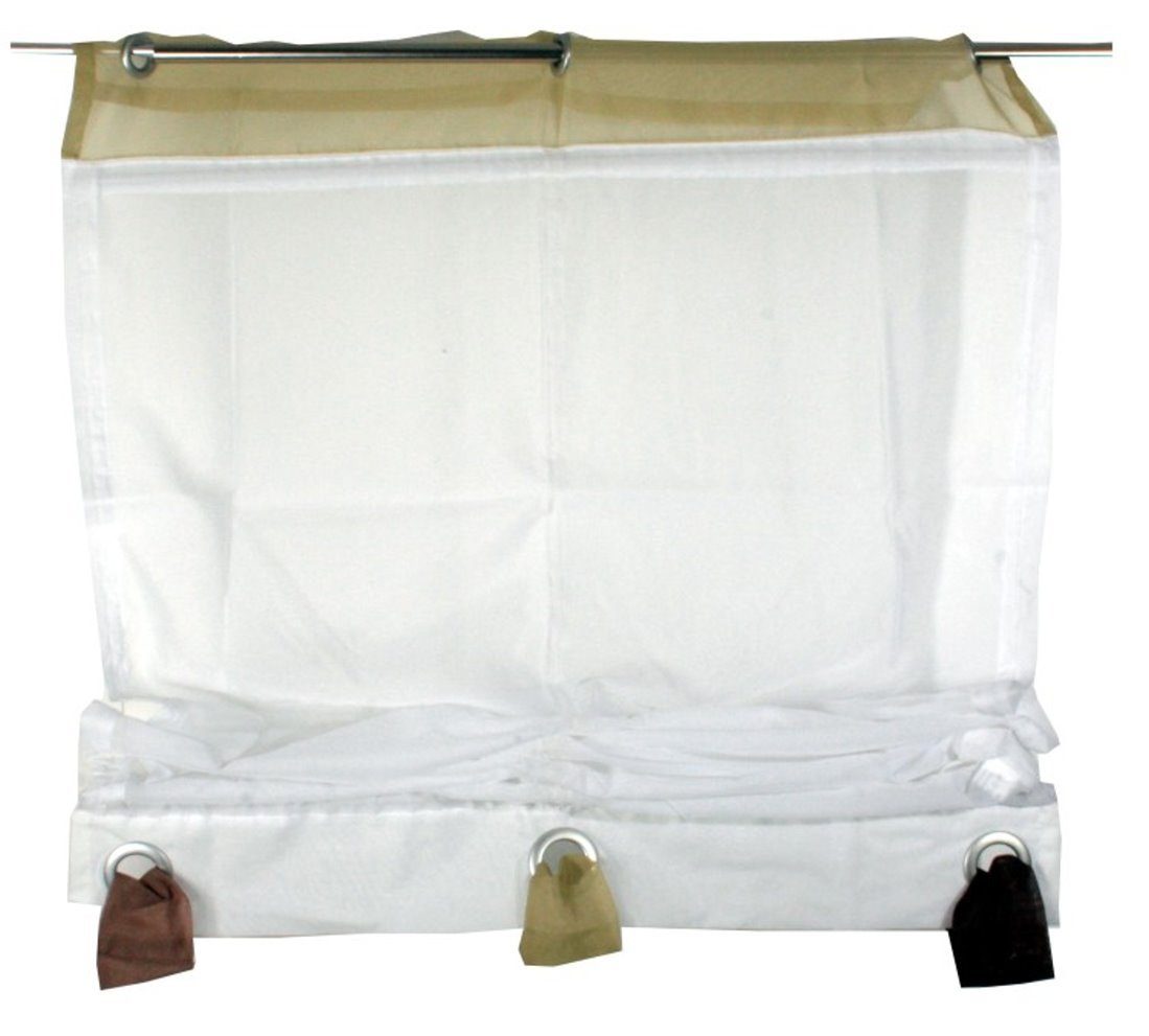 dynamic24 Raffrollo, Fertigdeko 155x80cm Fenster Voile günstig online kaufen