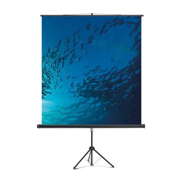 magnetoplan® Stativ-Leinwand Cineflex Standard - (B)200x(H)200cm Pull-Up-Leinwand