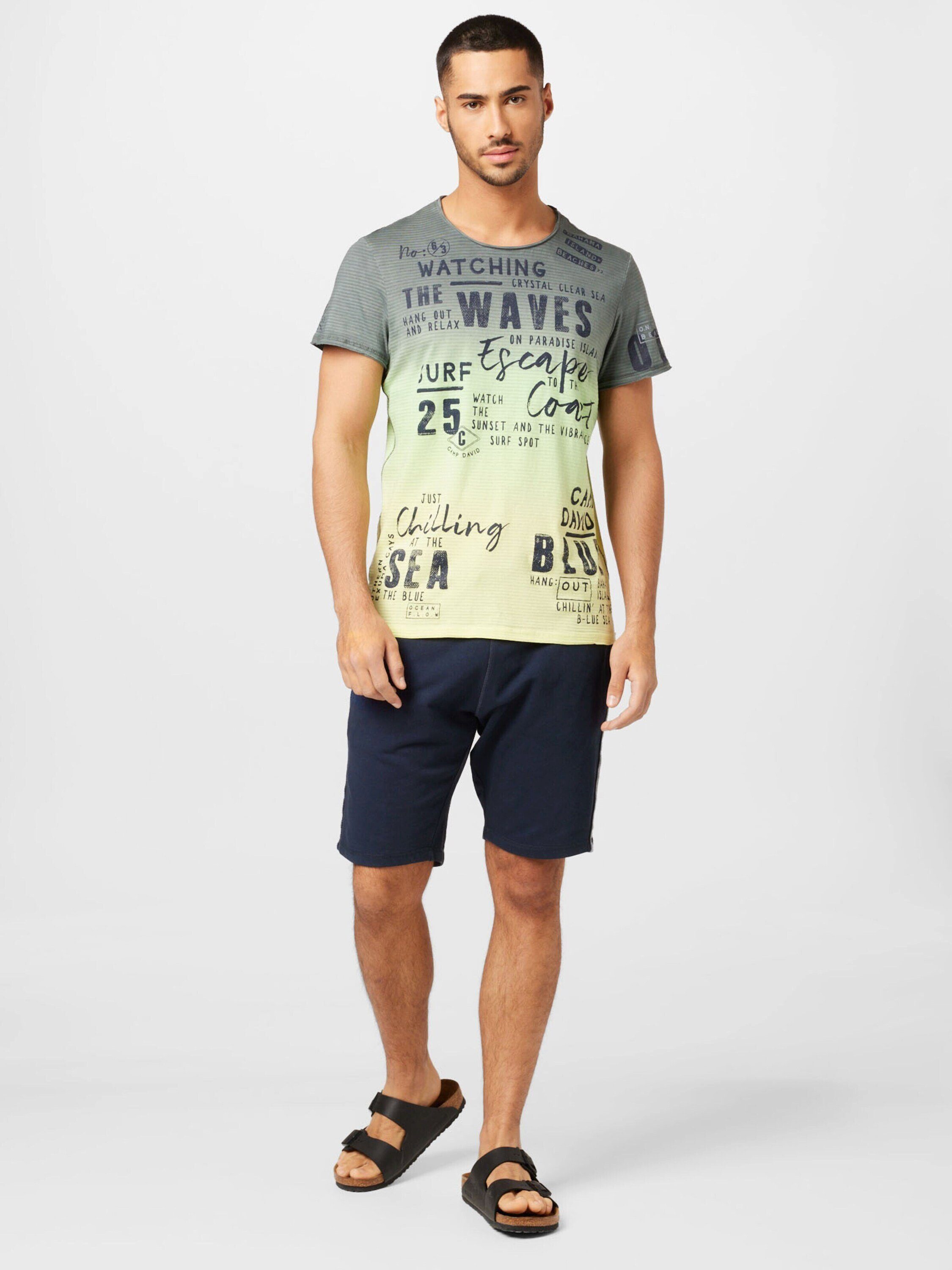 DAVID CAMP surf T-Shirt (1-tlg) grey