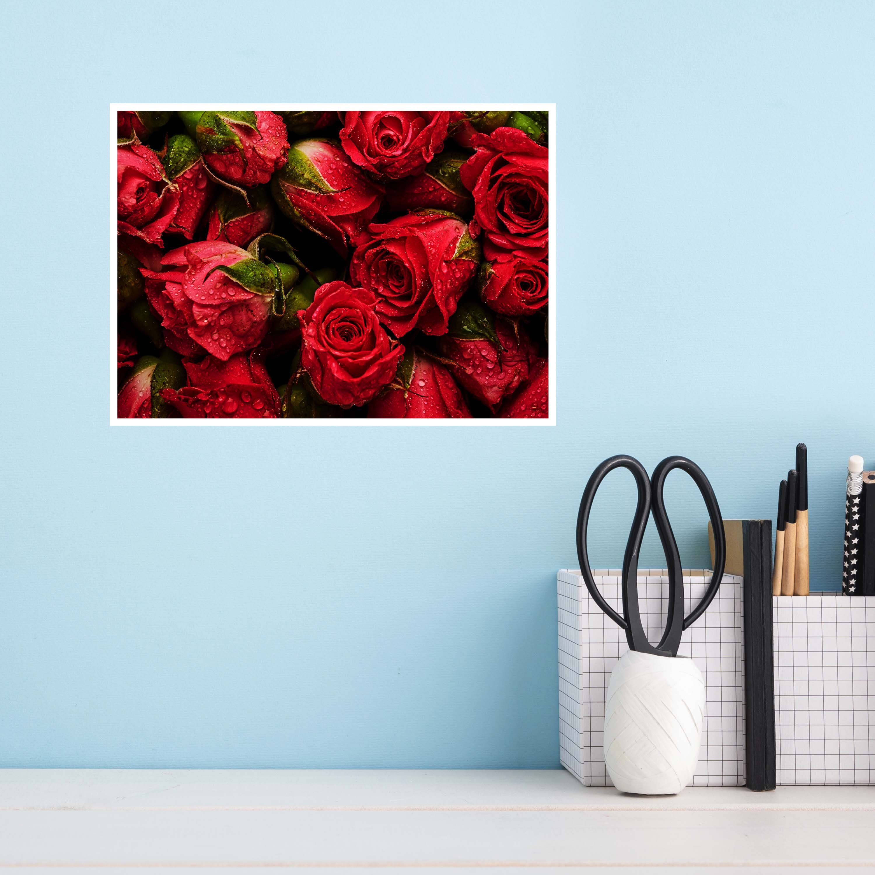 Wanddeko, Blumen, Poster Größen Wandbild, Rosen, Natur (1 St), Poster versch. rote in wandmotiv24