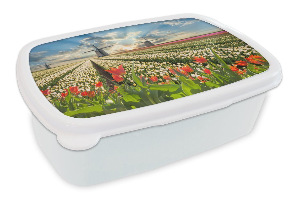 und Kinder - Brotdose, Lunchbox - Brotbox für und Himmel weiß Kunststoff, Mädchen Natur, Erwachsene, Tulpen - Windmühle MuchoWow (2-tlg), Jungs für