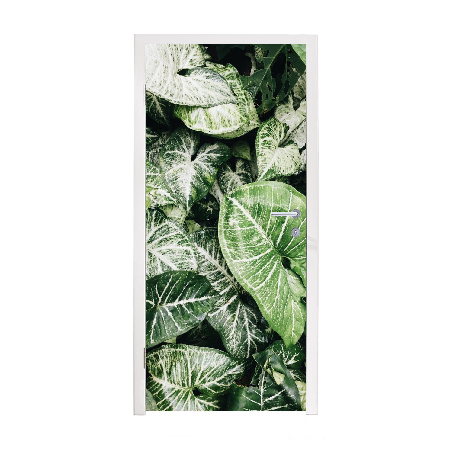 St), Pflanze, bedruckt, für cm MuchoWow (1 Matt, - Blätter Fototapete Türaufkleber, - Tür, 75x205 Türtapete Natur