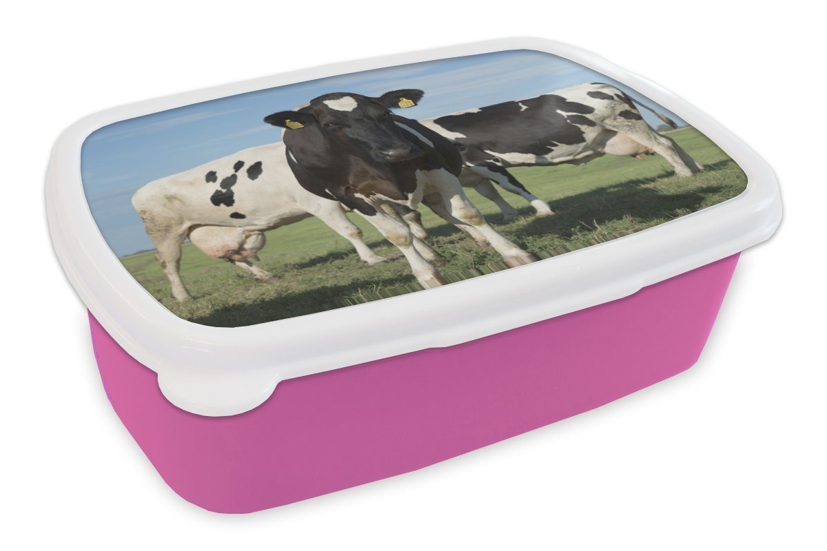 MuchoWow Lunchbox Kuh - Gras - Blau - Schatten, Kunststoff, (2-tlg), Brotbox für Erwachsene, Brotdose Kinder, Snackbox, Mädchen, Kunststoff rosa