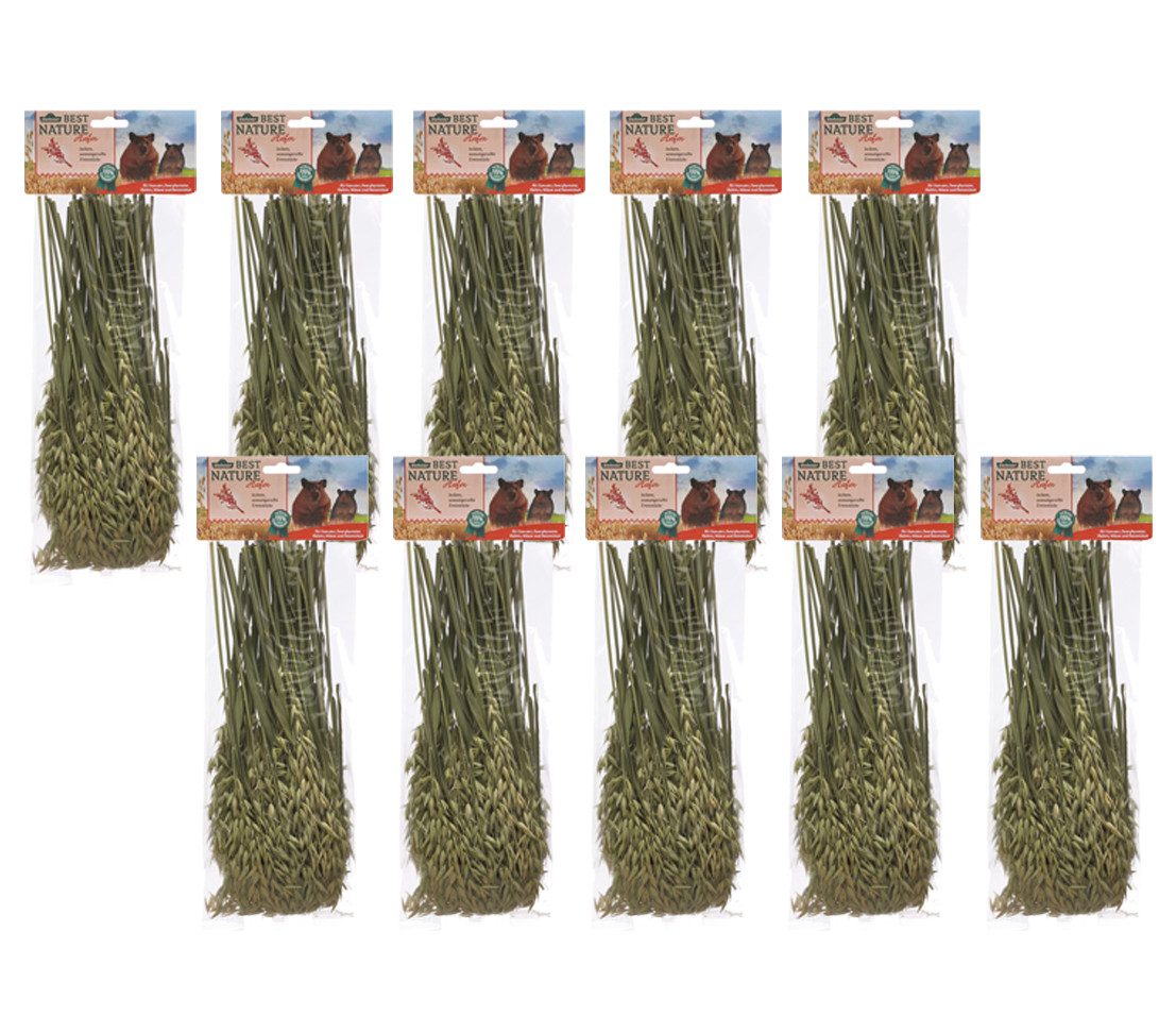 Dehner Best Nature Knabberzweige, Nagersnack, versch. Sorten, für: Nager, Ergänzungsfutter für Hasen, Hamster, Meerschweinchen, Degu, Kaninchen