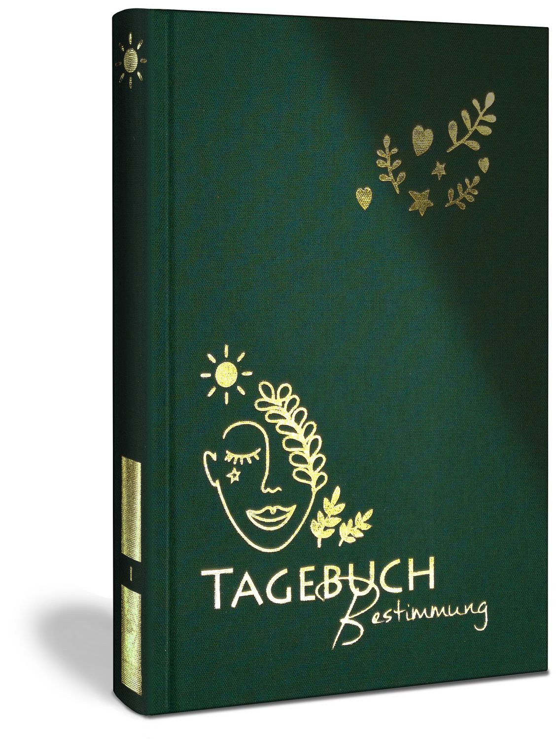 Erkenne die offenen Türen, die Dich zu Deiner Bestimmung führen / Luca Rohleder