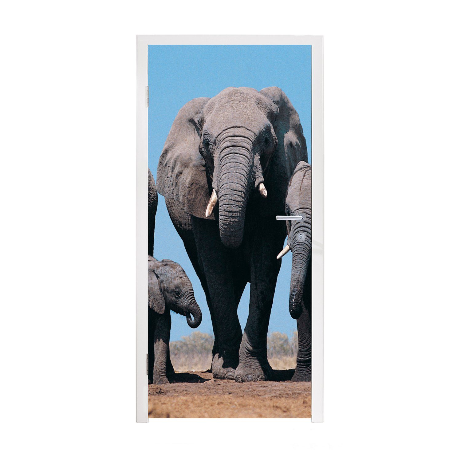 MuchoWow Türtapete Elefant - Prärie - Tiere - Natur, Matt, bedruckt, (1 St), Fototapete für Tür, Türaufkleber, 75x205 cm