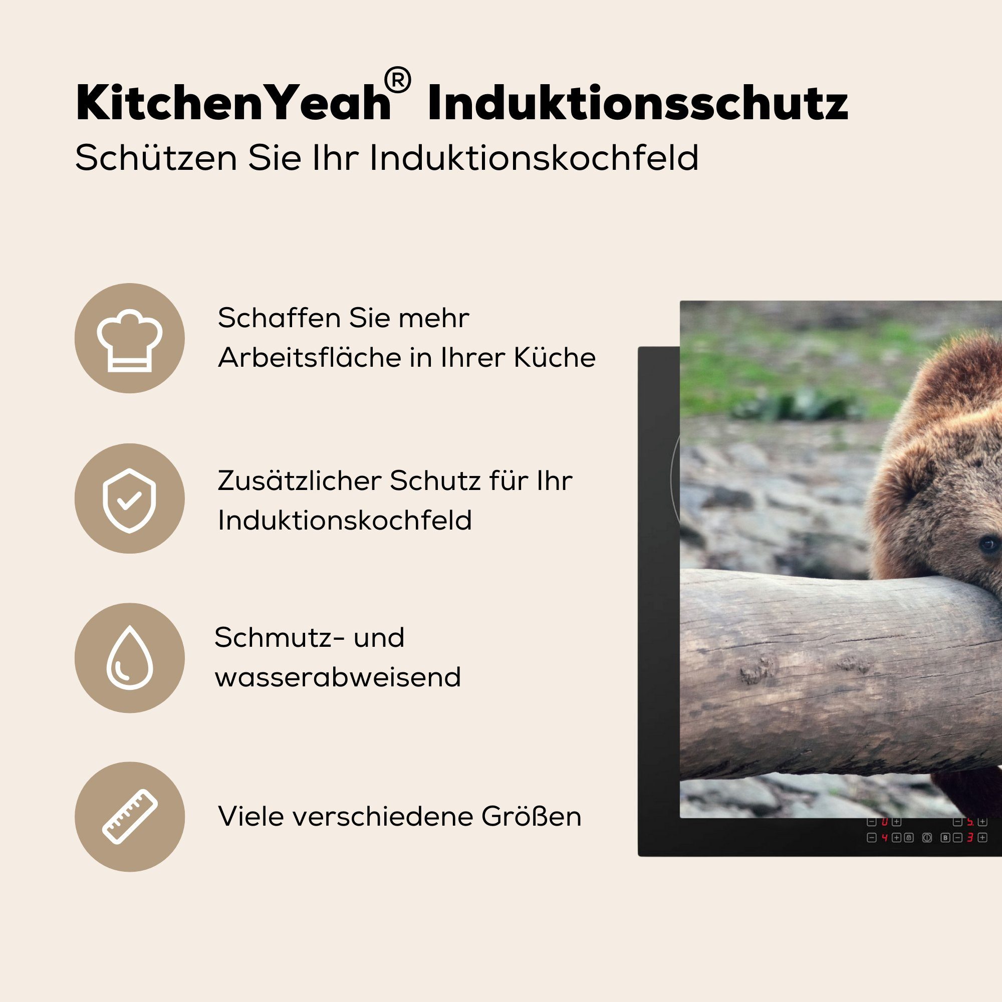 MuchoWow Herdblende-/Abdeckplatte Braunbär auf Baumstamm ruhend, (1 81x52 für küche, Induktionskochfeld Vinyl, cm, tlg), Schutz die Ceranfeldabdeckung